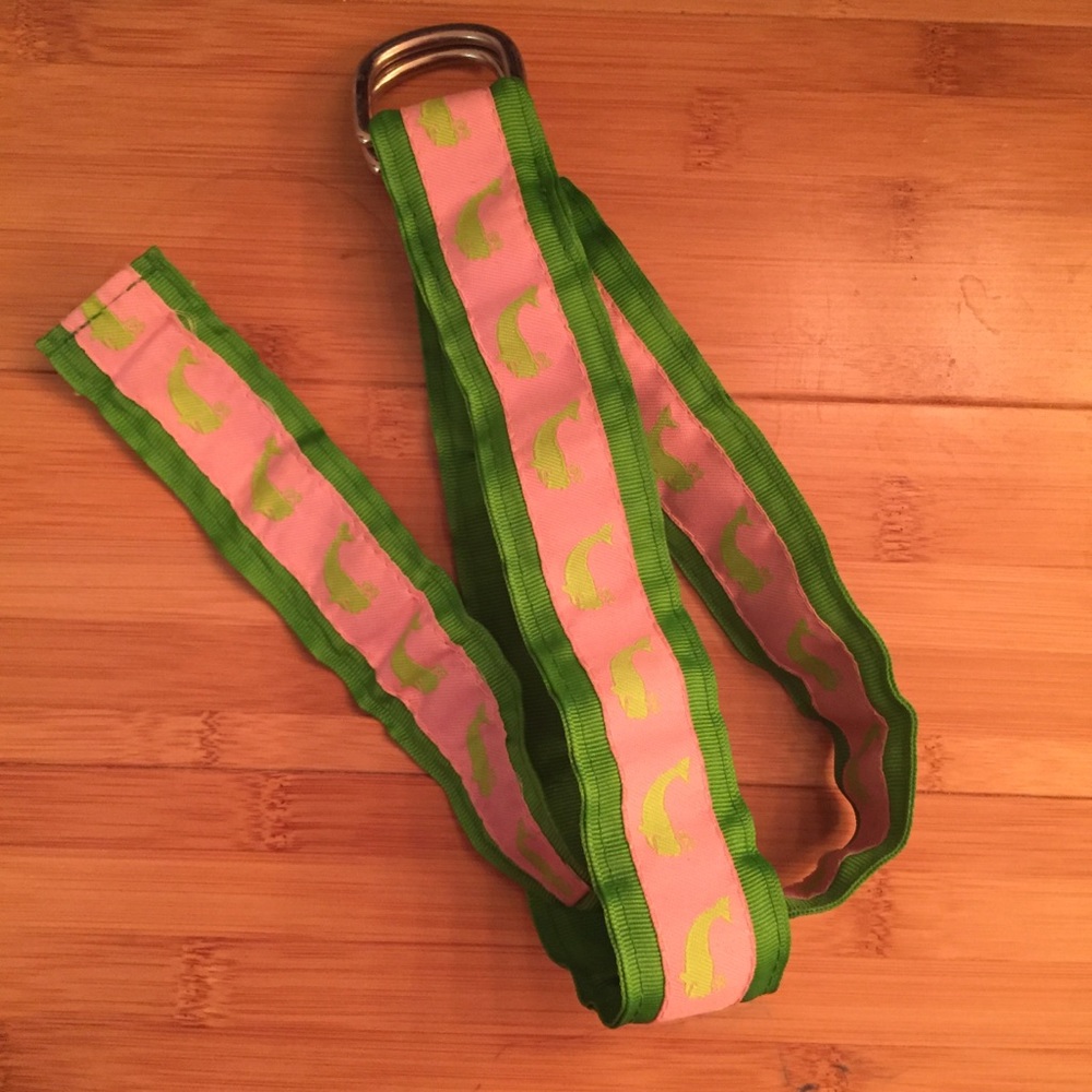 Preppy whale print pink and green ribbon belt 💕